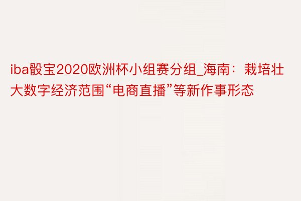 iba骰宝2020欧洲杯小组赛分组_海南：栽培壮大数字经济范围“电商直播”等新作事形态