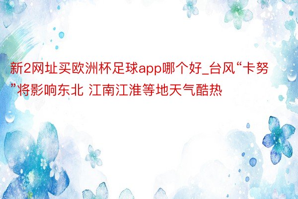 新2网址买欧洲杯足球app哪个好_台风“卡努”将影响东北 江南江淮等地天气酷热