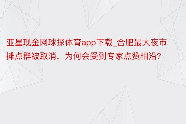 亚星现金网球探体育app下载_合肥最大夜市摊点群被取消，为何会受到专家点赞相沿？