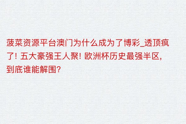 菠菜资源平台澳门为什么成为了博彩_透顶疯了! 五大豪强王人聚! 欧洲杯历史最强半区, 到底谁能解围?