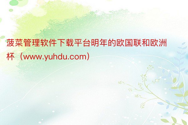 菠菜管理软件下载平台明年的欧国联和欧洲杯（www.yuhdu.com）