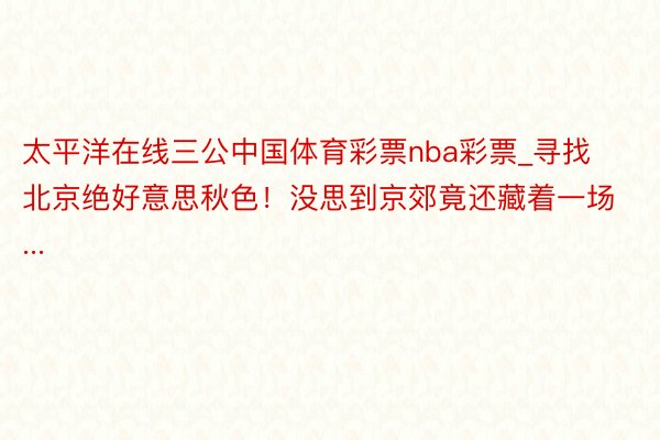 太平洋在线三公中国体育彩票nba彩票_寻找北京绝好意思秋色！没思到京郊竟还藏着一场...