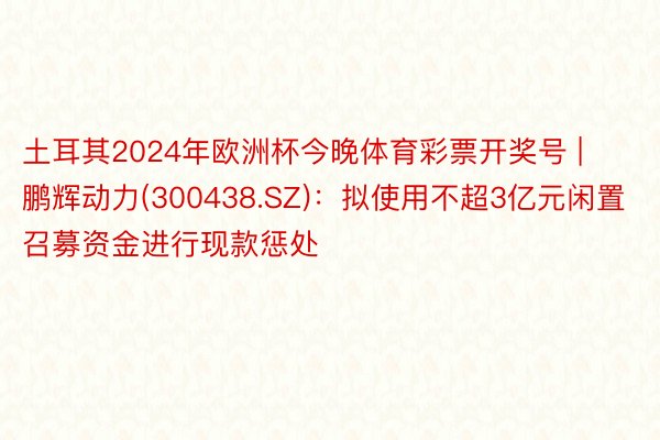 土耳其2024年欧洲杯今晚体育彩票开奖号 | 鹏辉动力(300438.SZ)：拟使用不超3亿元闲置召募资金进行现款惩处