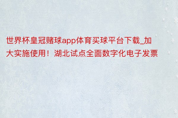 世界杯皇冠赌球app体育买球平台下载_加大实施使用！湖北试点全面数字化电子发票